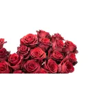 Bouquet of Ecuadorian roses